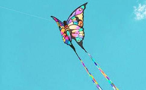 �йطŷ����ռǷ�����ƪ