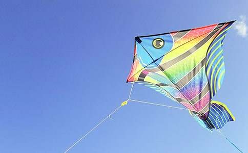 关于放风筝日记锦集五篇