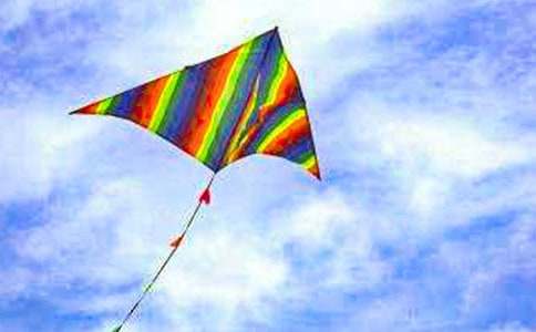 �ŷ������꼶���ĺϼ�15ƪ