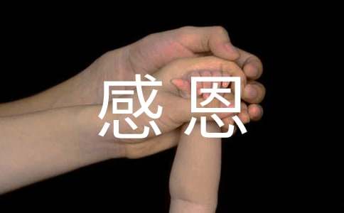 关于感恩的活动策划(15篇)