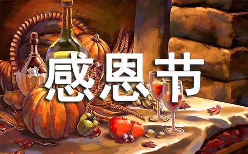 感恩节主题班会总结