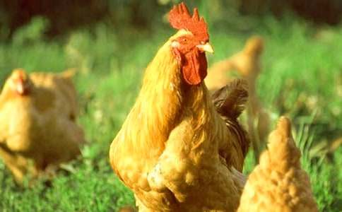 ��С������СѼ�ӡ���ѧ���15ƪ���š�