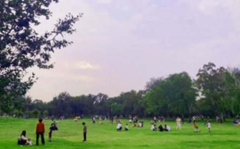 ���ر������꼶��԰������8ƪ