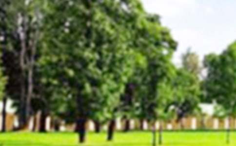 ���Ƽ������꼶�ι�԰���ĺϼ���ƪ