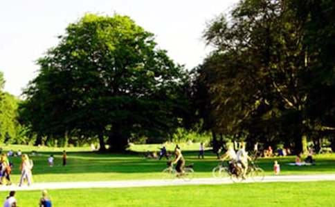 �����š����꼶�ι�԰������ƪ