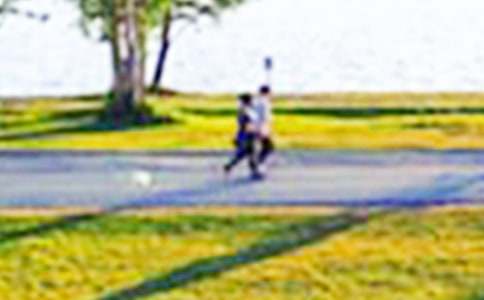 ���ڹ�԰���꼶���ļ�����ƪ