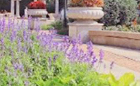 �糿�Ĺ�԰���꼶����