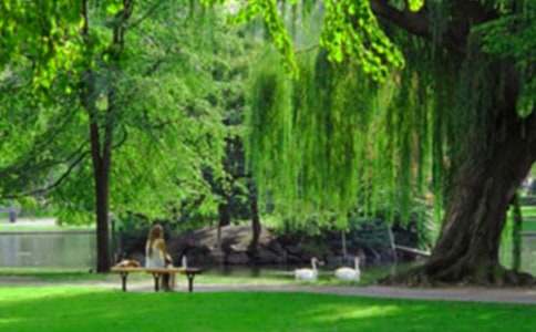 ȥ��԰����ռ�