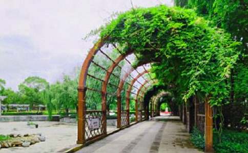 ��ʵ�á���԰����ռ���ƪ