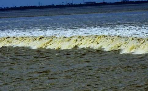 �۳���ѧ���15ƪ(��)