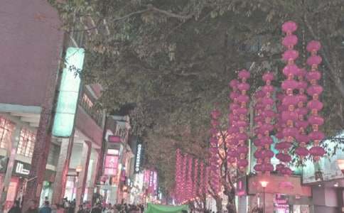 时代广场蟋蟀读后感