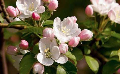 [��]���㺣�Ĺۺ��