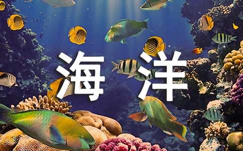 《海洋》观后感