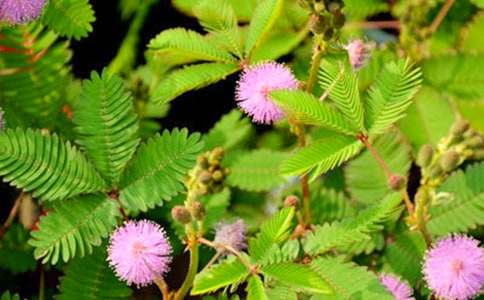 ��ѡ���꼶���߲����ĺϼ�ʮƪ