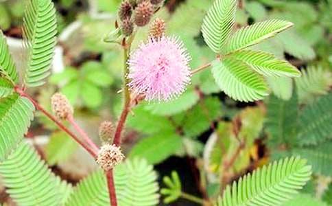 �й����꼶���߲����ļ�����ƪ