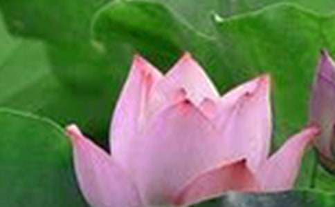 ���Ƽ����ɻ����꼶���Ļ�����ƪ