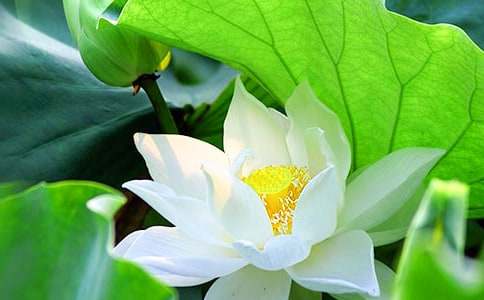 �����š��ɻ����꼶����10ƪ