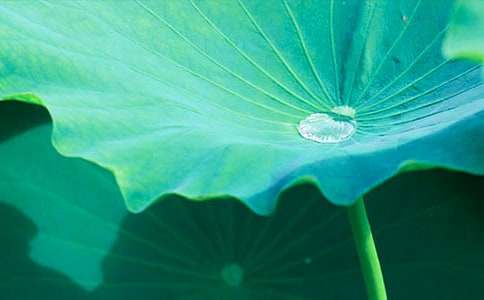 ����ҶԲԲ����ѧ��˼15ƪ