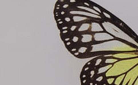 �й����꼶�������ĺϼ�10ƪ