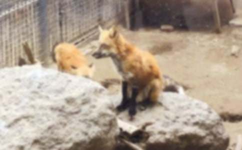 ���������ѻ����ѧ���