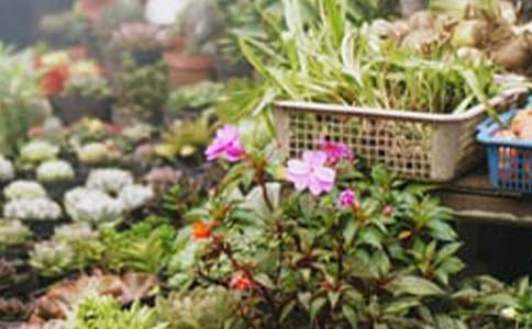 花店商业计划书