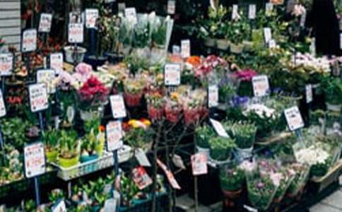 ����Ĵ�ҵ�ƻ���