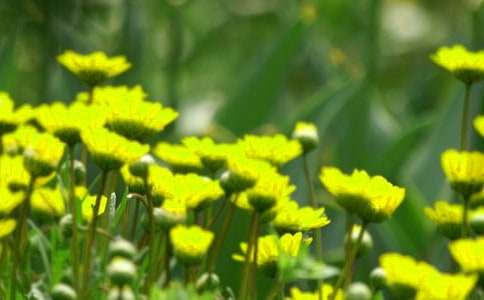 �����䡷�̰�