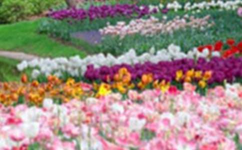 ���˵Ļ�԰��ѧ���15ƪ