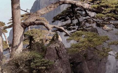 �λ�ɽ���꼶����