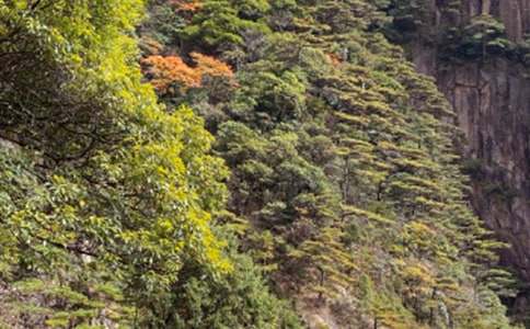 ��ɽ��ʯ˵�θ�