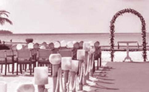 婚礼策划方案范文