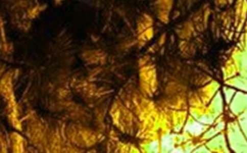 ���־�ʾ�ۺ��