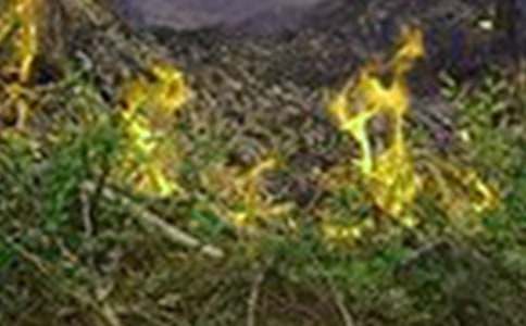 119火灾演习后总结