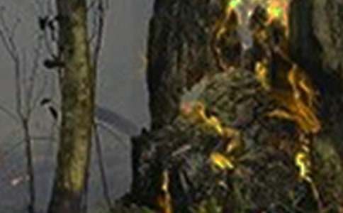 今冬明春火灾防控工作总结汇编15篇