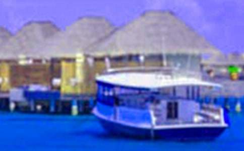 �������ʵ���ܽ��ѧ