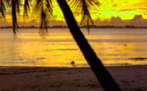 ��ѧ���������ʵ���ܽ� 12ƪ