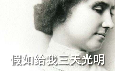 ��һ�����������������������