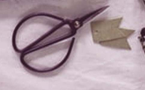 ��Ӱ�������ְ��»������˹ۺ��