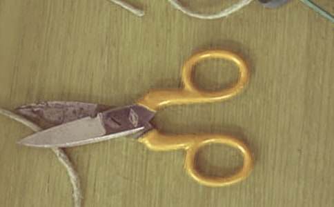 �������ְ��»����ۺ��5ƪ