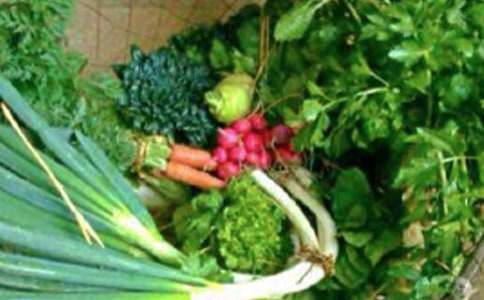 大学生心理健康状况 大学生心理健康状况总结通用