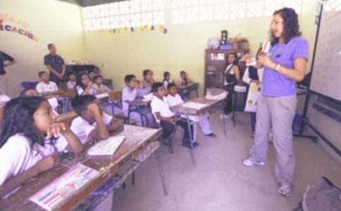 实用的综合实践教学总结3篇