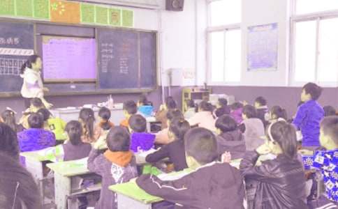 实践教学总结模板合集五篇