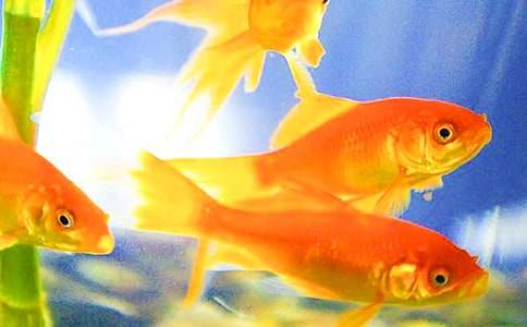 С������꼶����300�ֺϼ�8ƪ