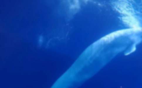 �����㡷�̰�