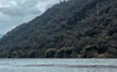 ��ѧ·�ϵľ�ɫ���꼶����