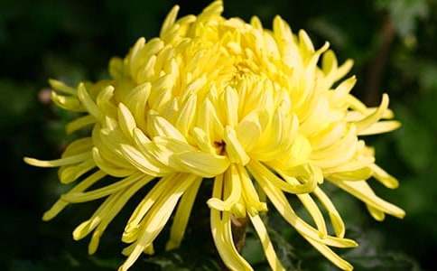 �йؾջ���Сѧ���꼶����