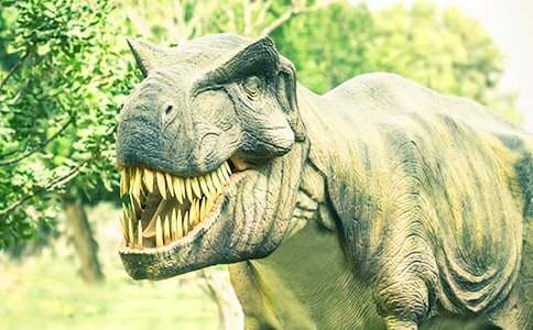 ������˵����