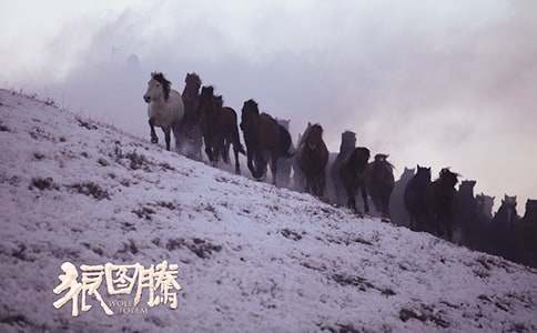 狼图腾观后感(集合15篇)