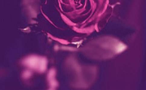 ������������ޡ������