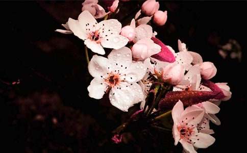 ��·�滨�̰�